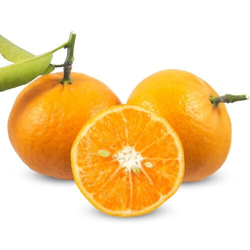 تصویر 2 از قیمت خرید نارنگی پیچ + فروش ویژه